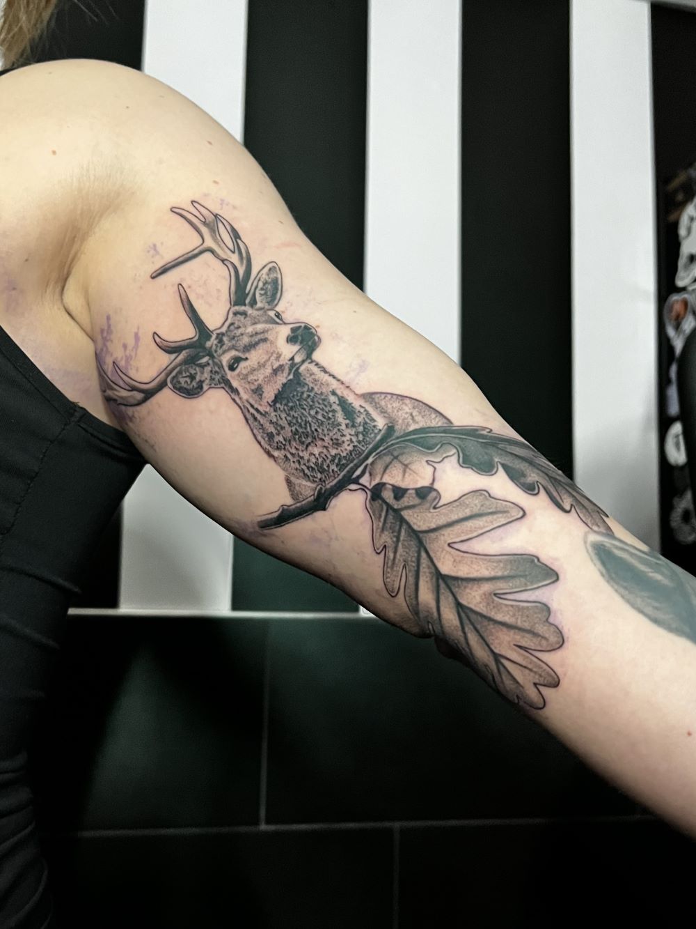 Tatovering af en kronhjort